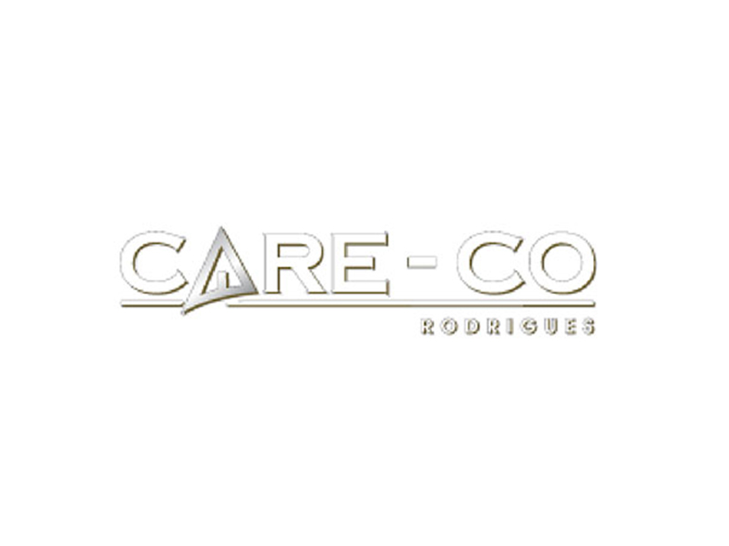 Care-Co website preview